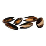 MOULE CUITE (UN)
