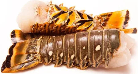 QUEUE DE HOMARD 4OZ (POIDS)